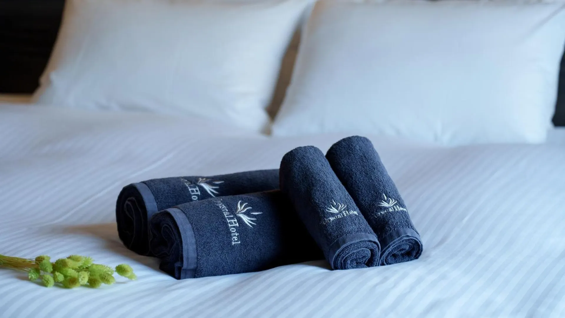 Kuromon Crystal Hotel Osaka 4*,